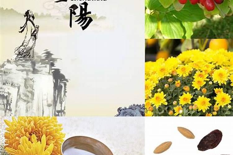 重阳节喝啥酒