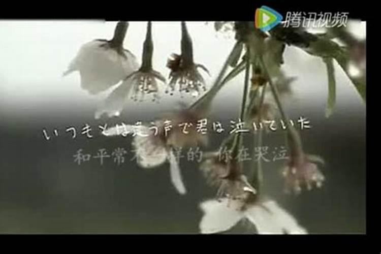 孕妇孕妇梦见被黑狗咬有什么征兆