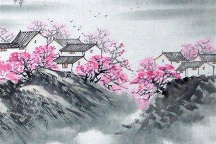 属兔的和属马的相配吗