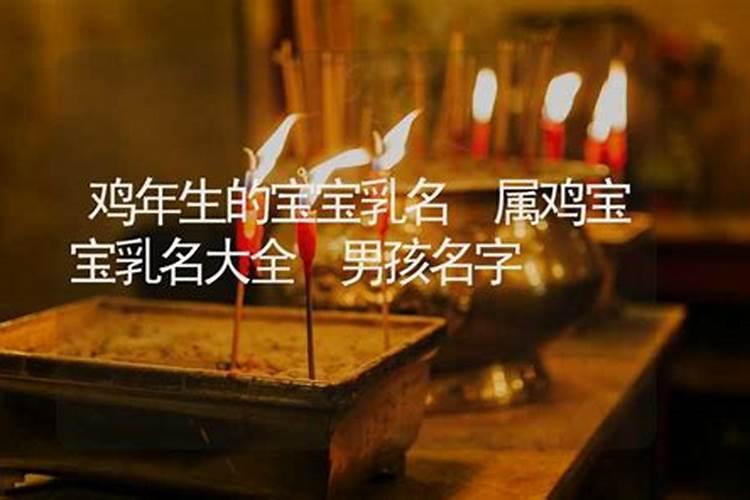 属鸡的乳名寓意有的吃属鸡的小名洋气点的