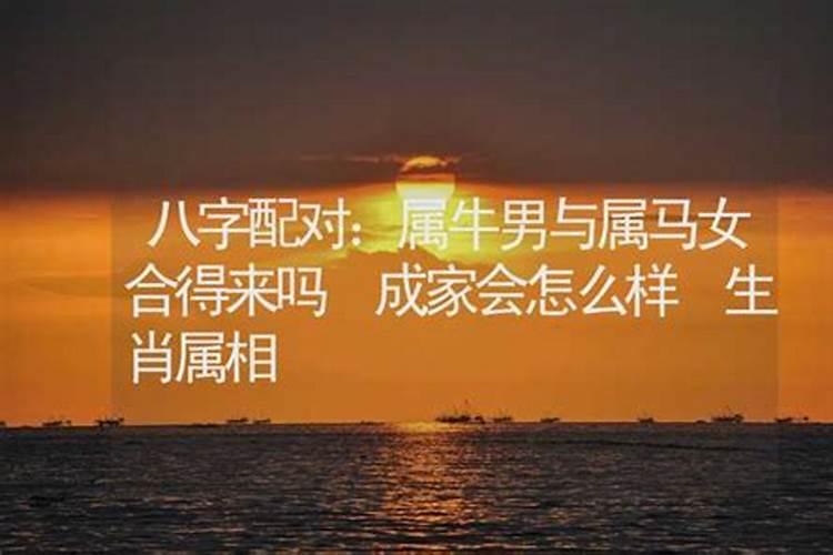 牛马属相会不会相克