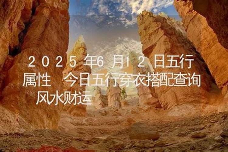 2025年属猪的全年运势