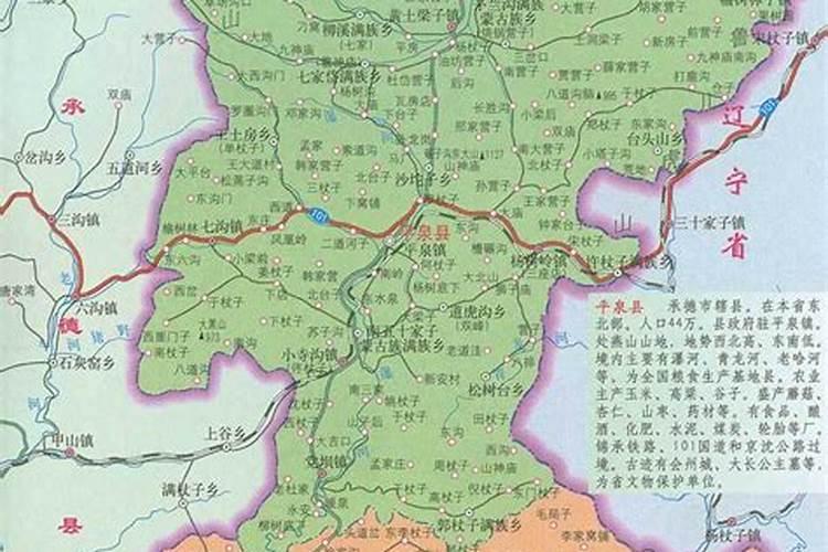国光树几年结果实