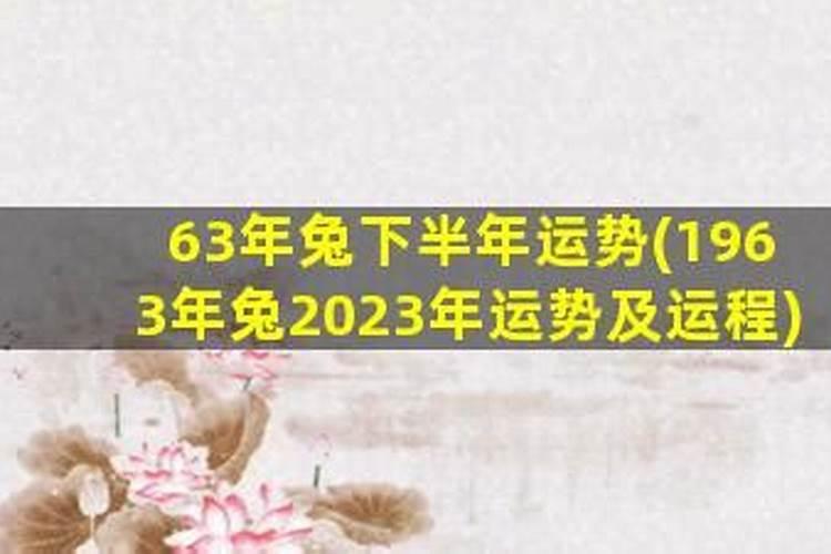 梦见猫捉老鼠但未抓到是什么兆头