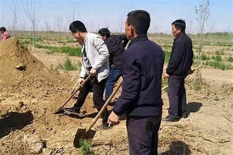 为什么今年的清明节是四月四日以往不是四月五日吗？
