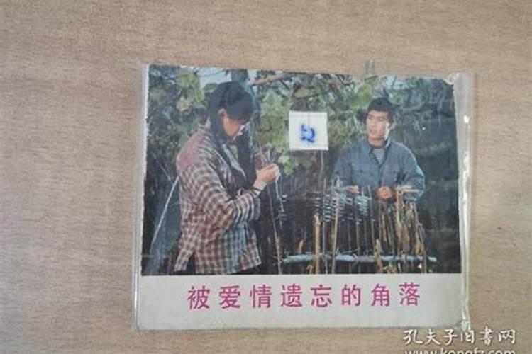 82年农历10月初一零晨1、2点出生,属什么命？