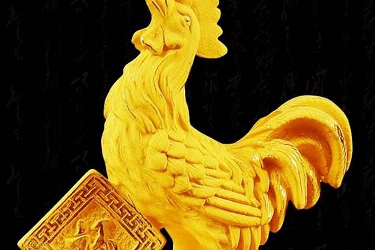 属鸡的人干什么最挣钱