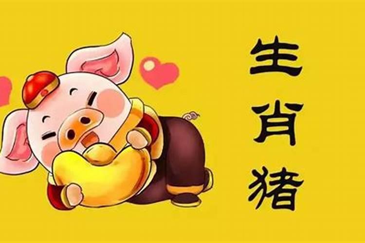 1995属猪的三大坎是哪三大坎属猪人命里带二婚是真的还是假的
