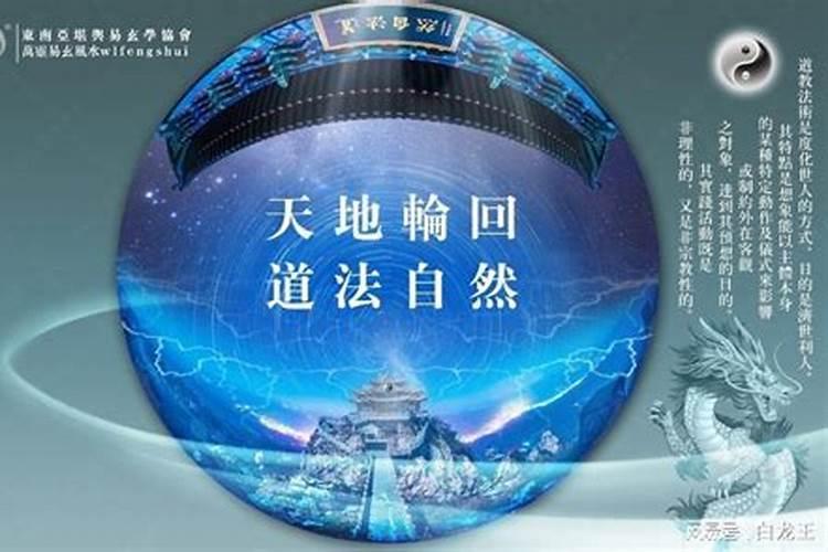 2024年属兔1963人的全年每月运势