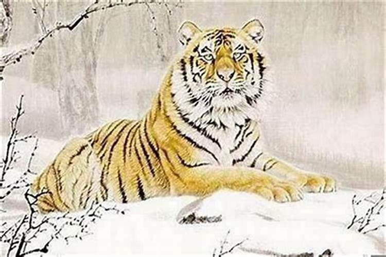 1998属虎的人适合戴黄金吗1998年属虎的戴什么好