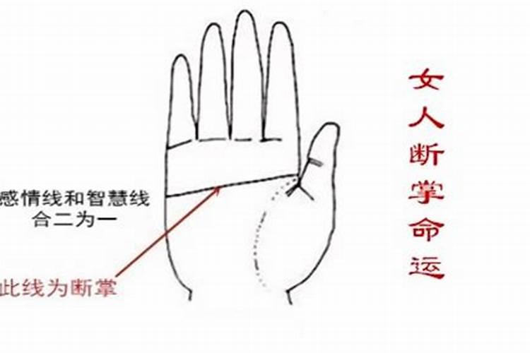 女生左手断掌 右手不断 非富即贵？