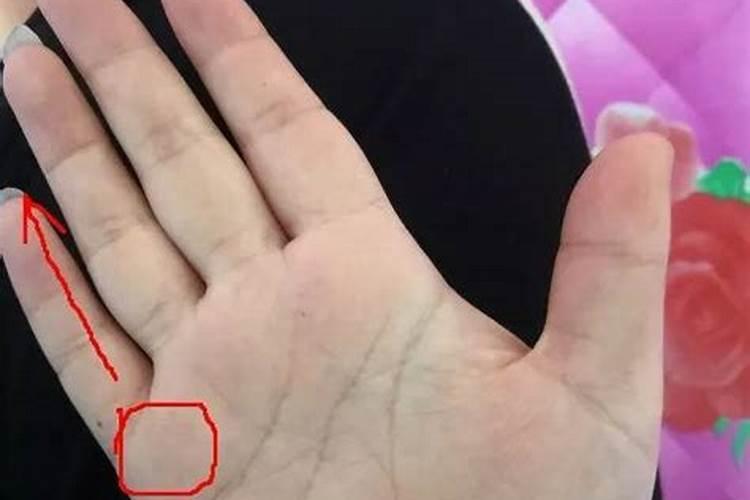 女人左手断掌有福气吗