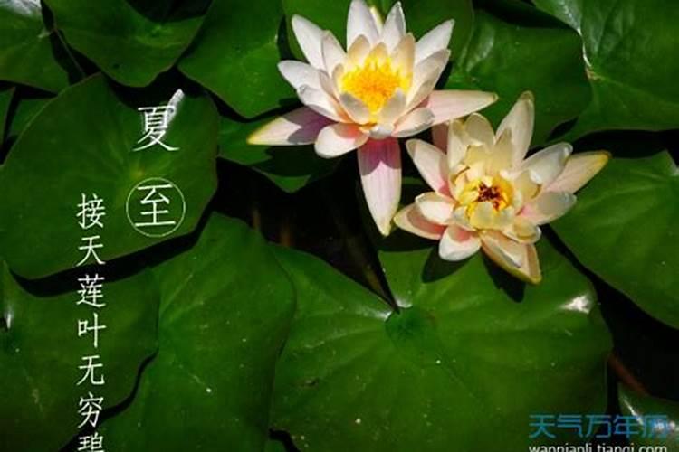 95女猪三月初二出生的人性格？