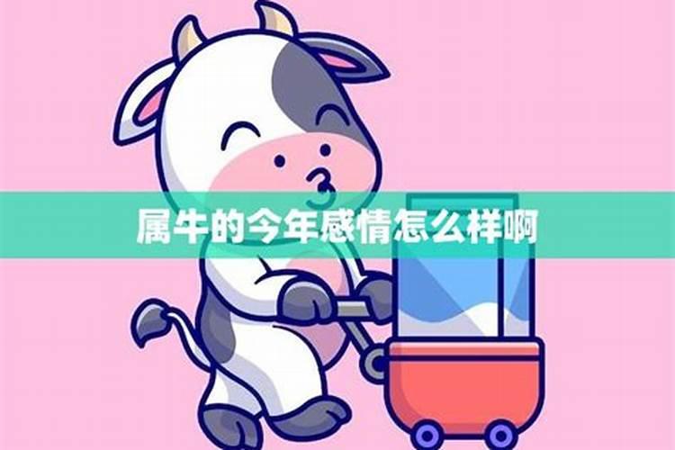1973属牛今年运势如何