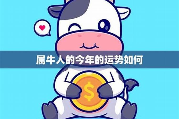 属牛人2025年运势详解