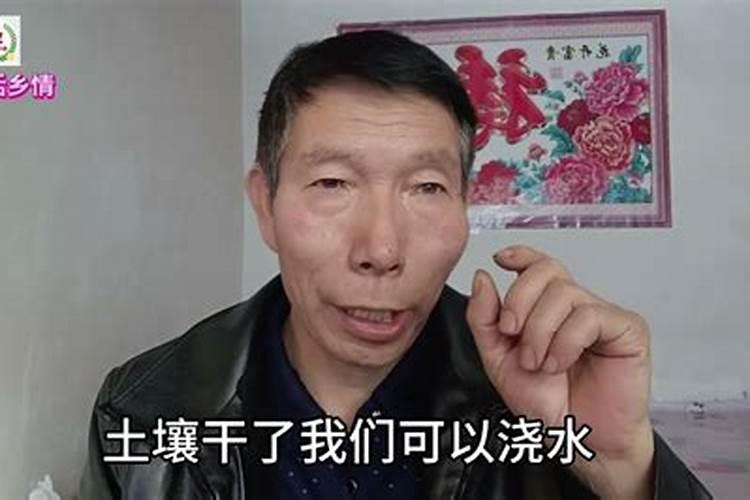 今年冬至是几月几日几点几分