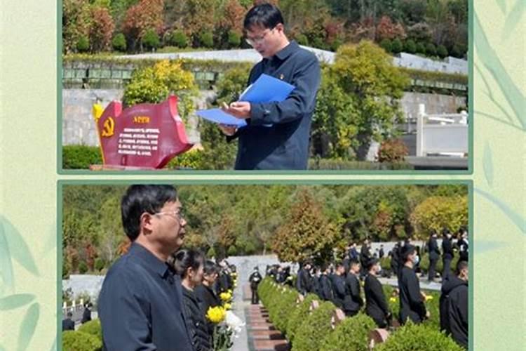 清明节祭英烈心得感悟体会10篇