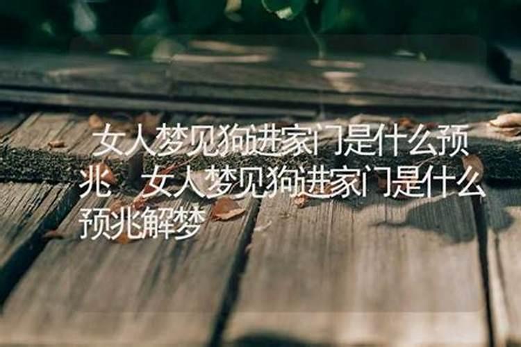 梦见狗丢了什么意思周公解梦