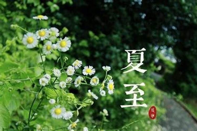 梦见和兄弟吵架是什么预兆 梦见和兄弟吵架是什么预兆解梦