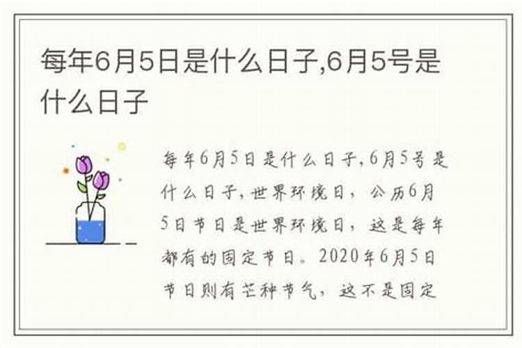 今年6月5号是什么意思
