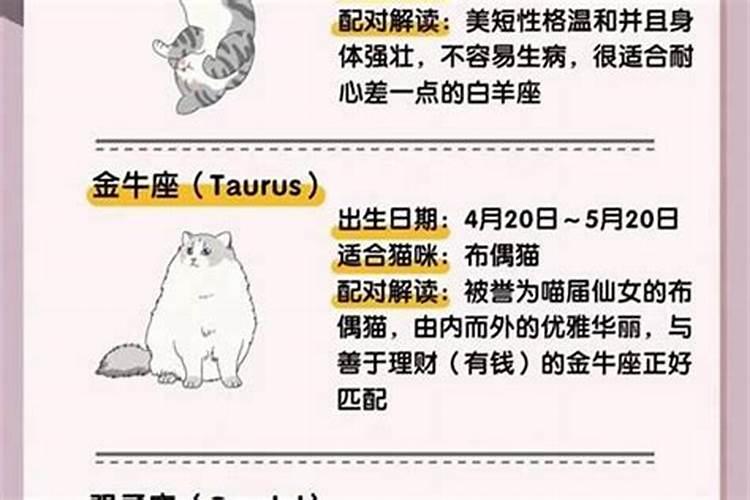 梦见女友快要死了的预兆