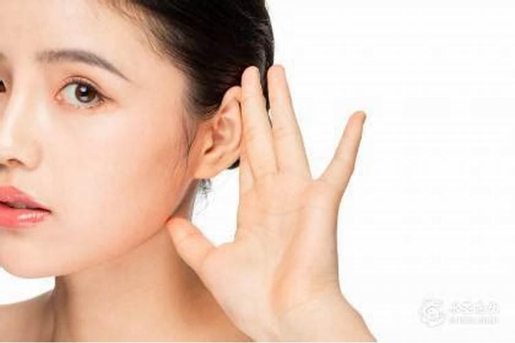 扇风耳的面相解析性格与命运
