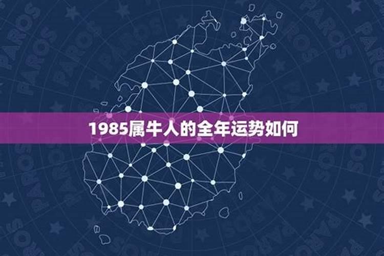 1985年的牛什么时候翻身1985年属牛哪一年走大运