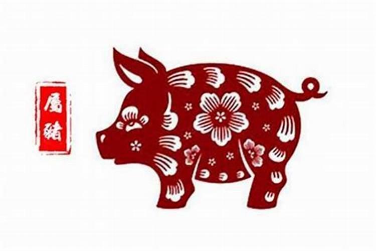 生肖猪2025年运势 属猪2025年运势及运程