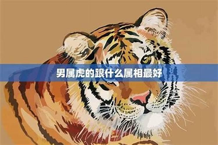 梦见小龙在身上