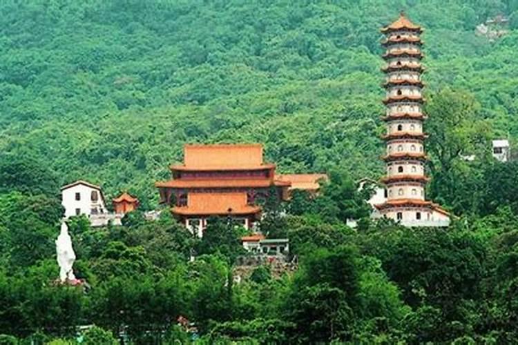值太岁属蛇的禁忌和注意事项