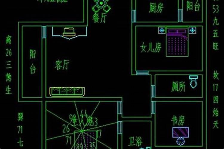79年属羊男在2025年的运势和财运