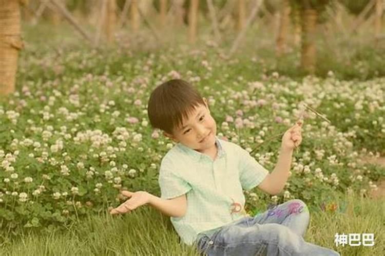 2025属龙犯太岁吗 属龙人2025年综合运势如何