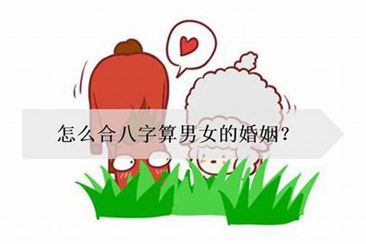 两人八字相合越多代表什么 八字相合一起会互相吸引吗？