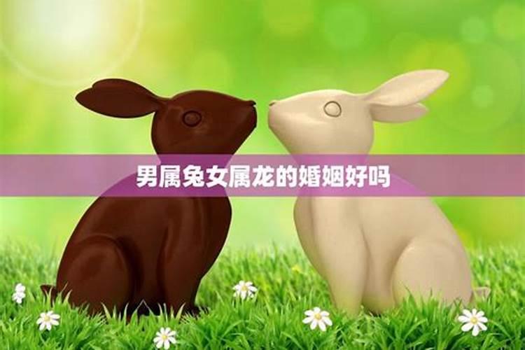 夫妻缘分:属兔男和属龙女能在一起吗 婚姻好吗