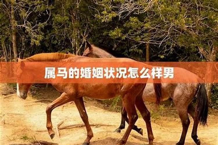 66年属马的婚姻66年属马的一生婚姻状况