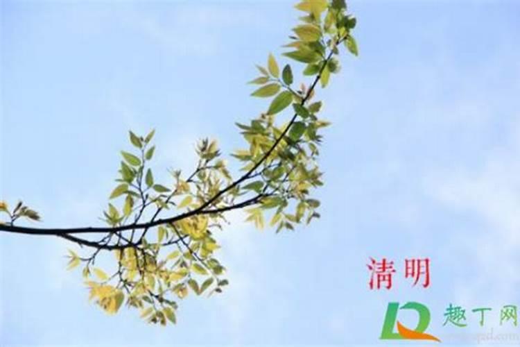 今年清明可以添坟吗