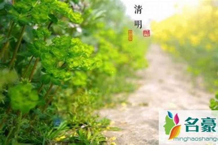 今年清明节下午上坟可以吗