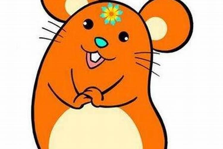 2020年腊月初六生宝宝好吗