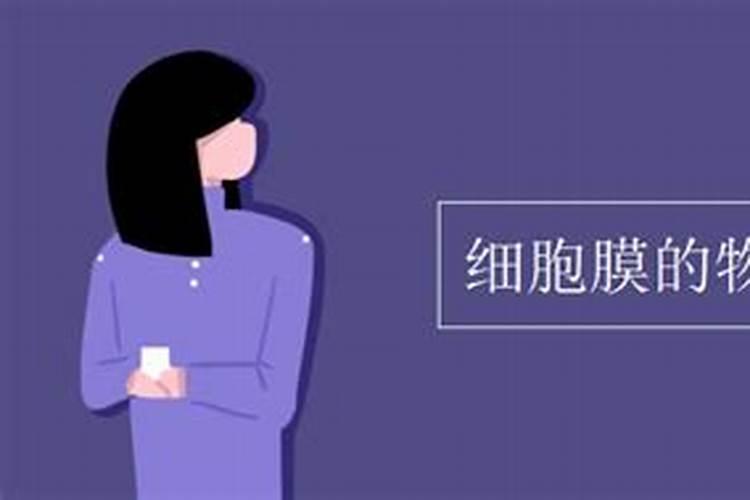 梦见两只母狗生了两只小狗的预兆