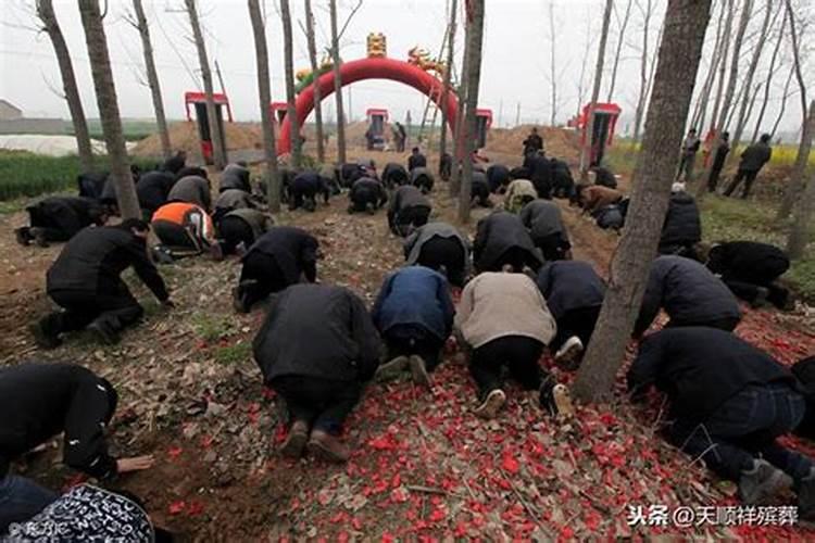 秦东魁清明祭祖正确方法