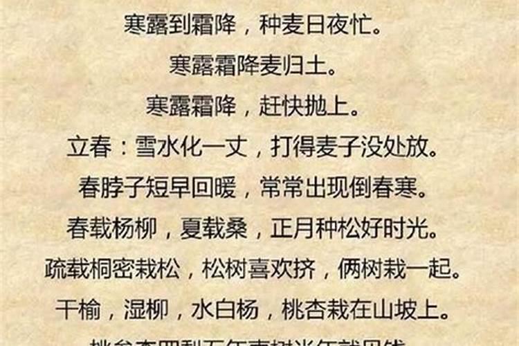 冬至谚语农谚