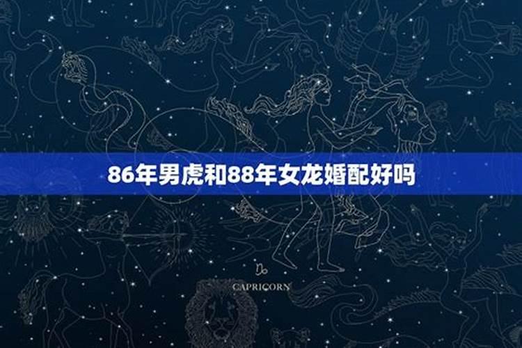 男虎女龙婚姻相配好吗