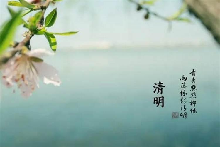 40岁到45岁面相看哪里