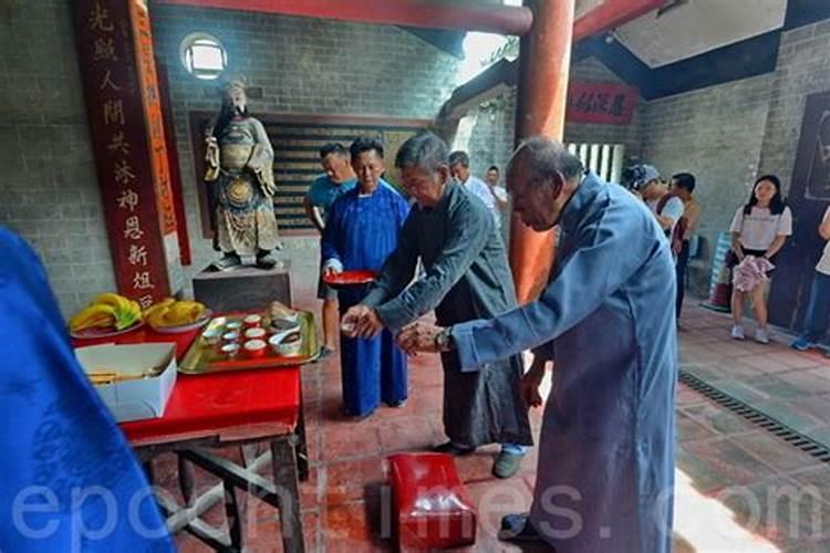 95属猪怎么化解害太岁