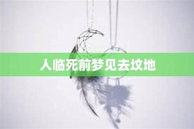 身份证怎么看出生年月日