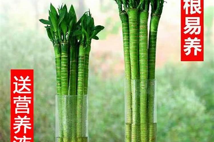 书房风水学:如何催旺文昌运？