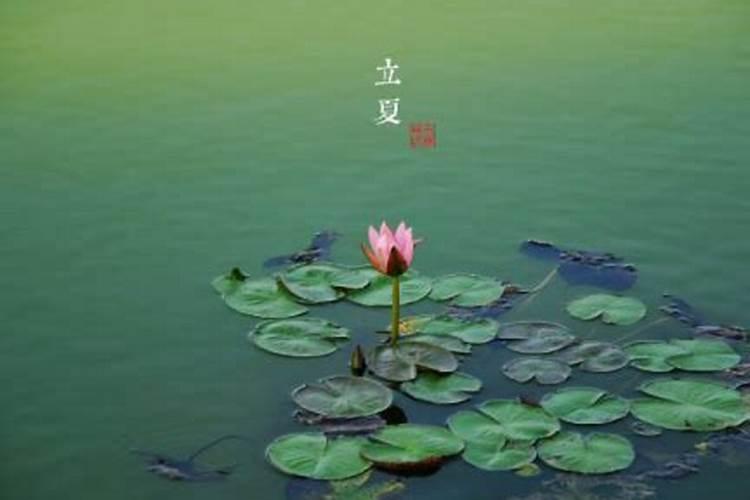 印光法师咒轮纸可以烧吗