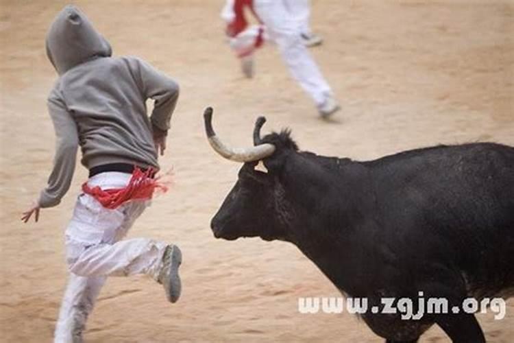 梦见被牛追赶拼命逃跑是什么征兆