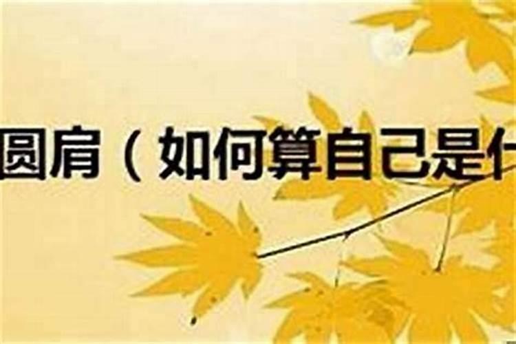 怎么算自己是什么命 自己是什么命怎么算