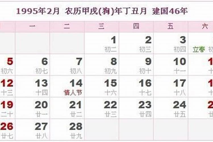 属猪的今年运势如何